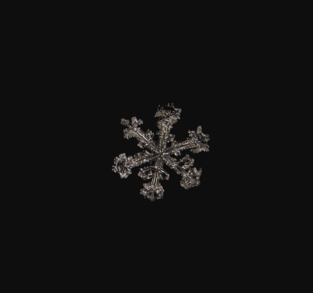 SchneekristalI IMG 0800