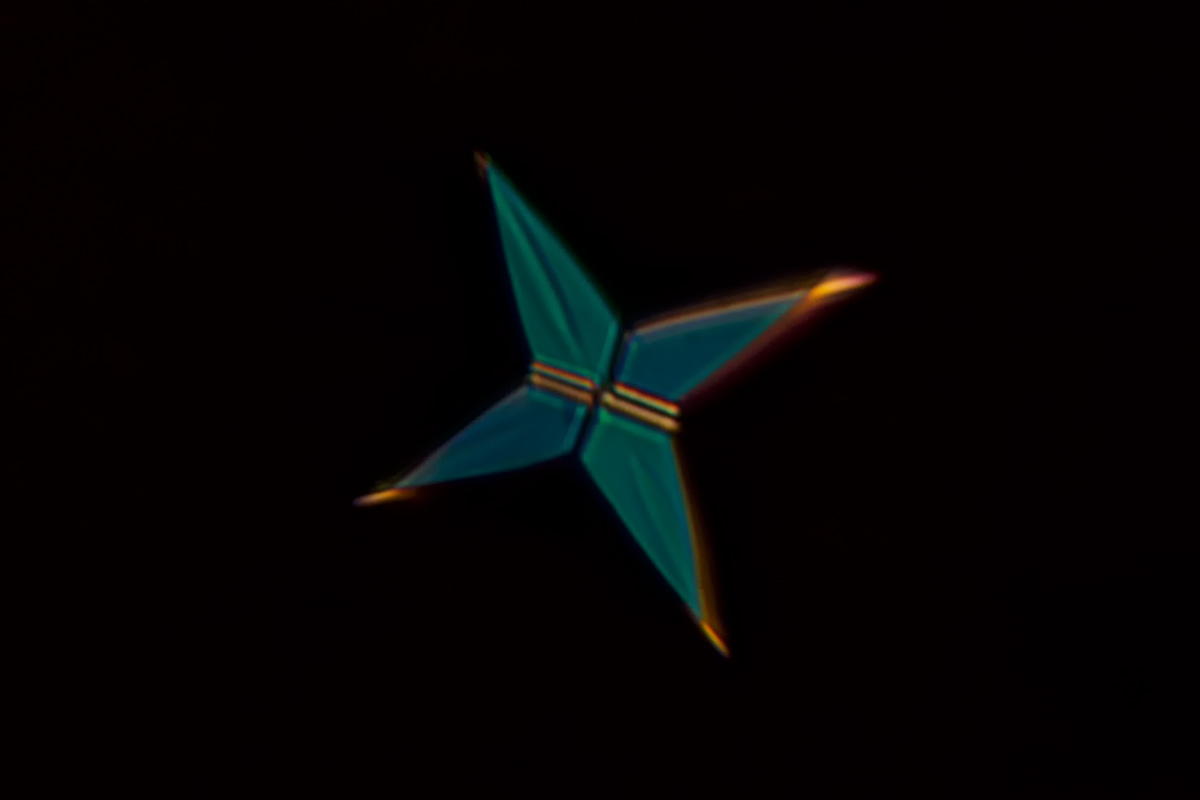 SchwaigenerTrollingerLemberger2015