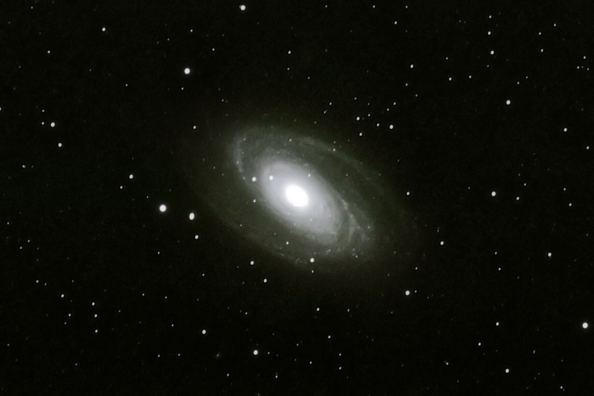 M81